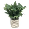 Sonoma Goods For Life® Sonoma Faux House Plant