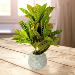 Sonoma Goods For Life® Artificial Potted Greenery Floor Decor -Sonoma Goods For Life Shop 5583143 ALT2