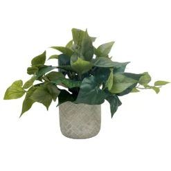 Sonoma Goods For Life® Artificial Trailing Ivy Plant Table Decor