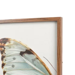 Sonoma Goods For Life® Butterfly Framed Wall Art 2-piece Set -Sonoma Goods For Life Shop 5636627 ALT5
