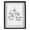 Sonoma Goods For Life® Botanical Shadowbox Framed Wall Art