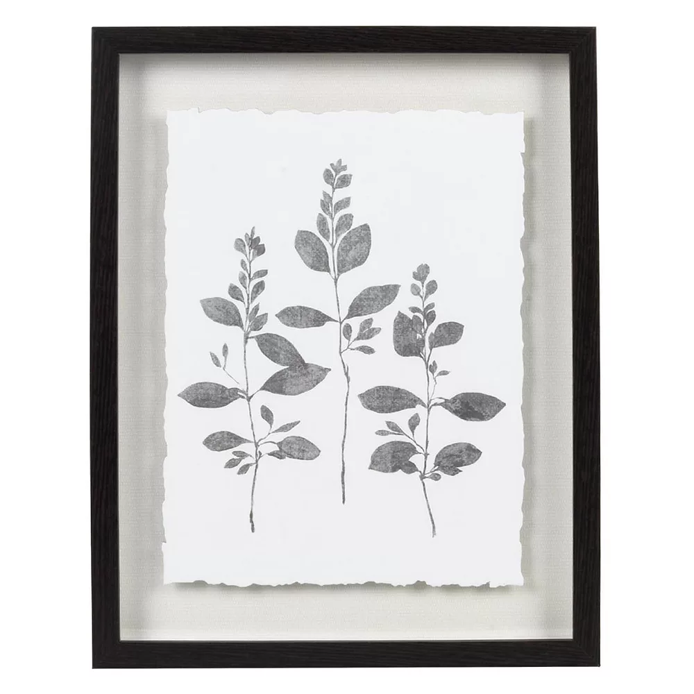 Sonoma Goods For Life® Botanical Shadowbox Framed Wall Art 1 Sonoma Goods For Life® Botanical Shadowbox Framed Wall Art