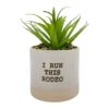 Sonoma Goods For Life® I Run This Rodeo Artificial Potted Plant Table Decor