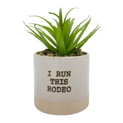 Sonoma Goods For Life® I Run This Rodeo Artificial Potted Plant Table Decor