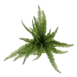 Sonoma Goods For Life® Faux Fern In Ceramic Pot -Sonoma Goods For Life Shop 5897085 ALT2