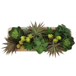 Sonoma Goods For Life® Oversized Faux Succulent Assortment In Bowl -Sonoma Goods For Life Shop 5897090 ALT2