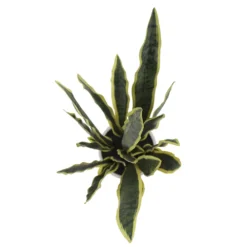 Sonoma Goods For Life® Faux Snake Plant In Midcentry Modern Pot -Sonoma Goods For Life Shop 5897091 ALT2