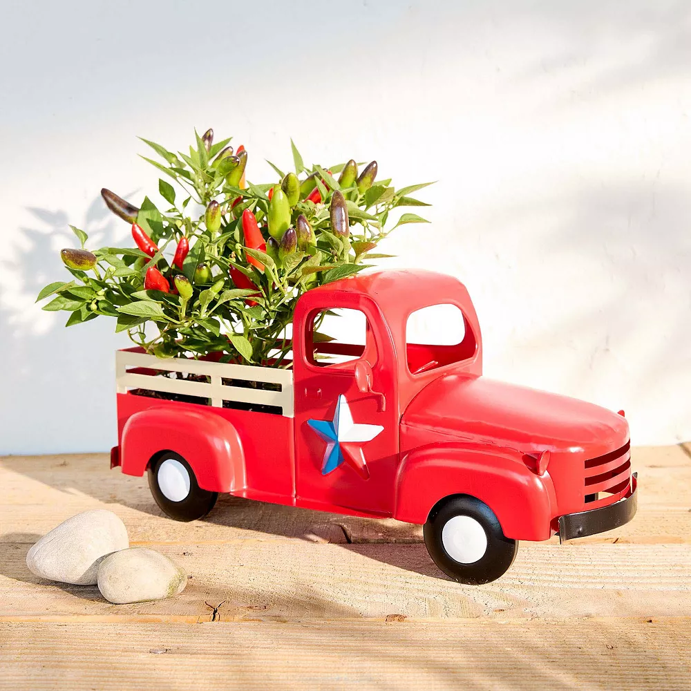 Sonoma Goods For Life® Texas Truck Planter Table Decor 2 Sonoma Goods For Life® Texas Truck Planter Table Decor - Image 2