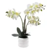 Sonoma Goods For Life® Faux Orchid In Ceramic Pot Floor Decor