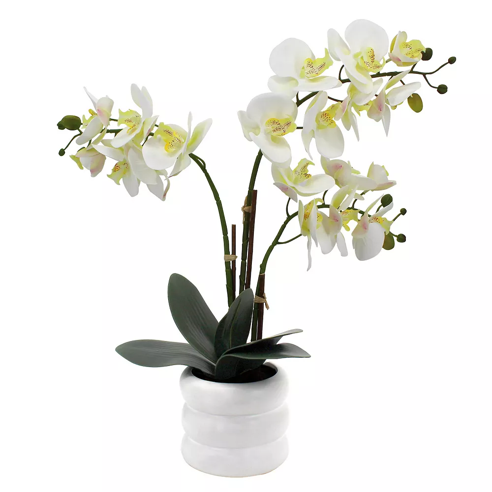 Sonoma Goods For Life® Faux Orchid In Ceramic Pot Floor Decor 1 Sonoma Goods For Life® Faux Orchid In Ceramic Pot Floor Decor