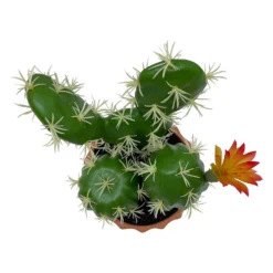 Sonoma Goods For Life® Faux Flowering Cactus Table Decor -Sonoma Goods For Life Shop 5902636 ALT2