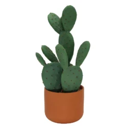 Sonoma Goods For Life® Prickly Pear Cactus In Terracotta Pot