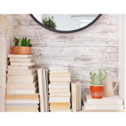 Sonoma Goods For Life® 3 Pack Mini Artificial Succulent Plants -Sonoma Goods For Life Shop 5903748 ALT5