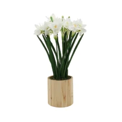 Sonoma Goods For Life® Artificial White Daffodils Plant Table Decor -Sonoma Goods For Life Shop 5904690 ALT3