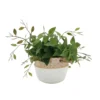 Sonoma Goods For Life® Artificial Greenery In Cement Pot