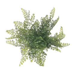 Sonoma Goods For Life® Artificial Fern In Glass Pot -Sonoma Goods For Life Shop 5904746 ALT4