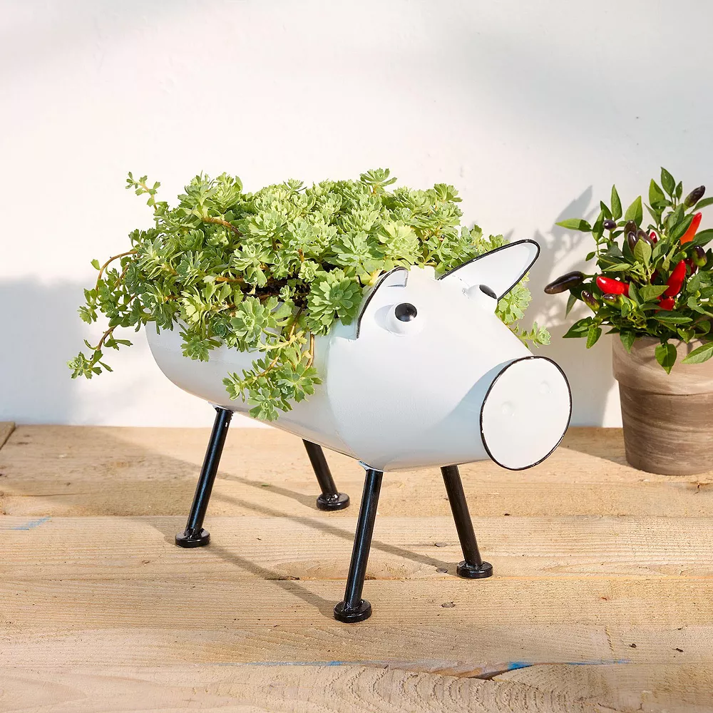 Sonoma Goods For Life® Pig Planter Table Decor 2 Sonoma Goods For Life® Pig Planter Table Decor - Image 2