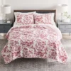 Sonoma Goods For Life® Red Botanical Quilt Set